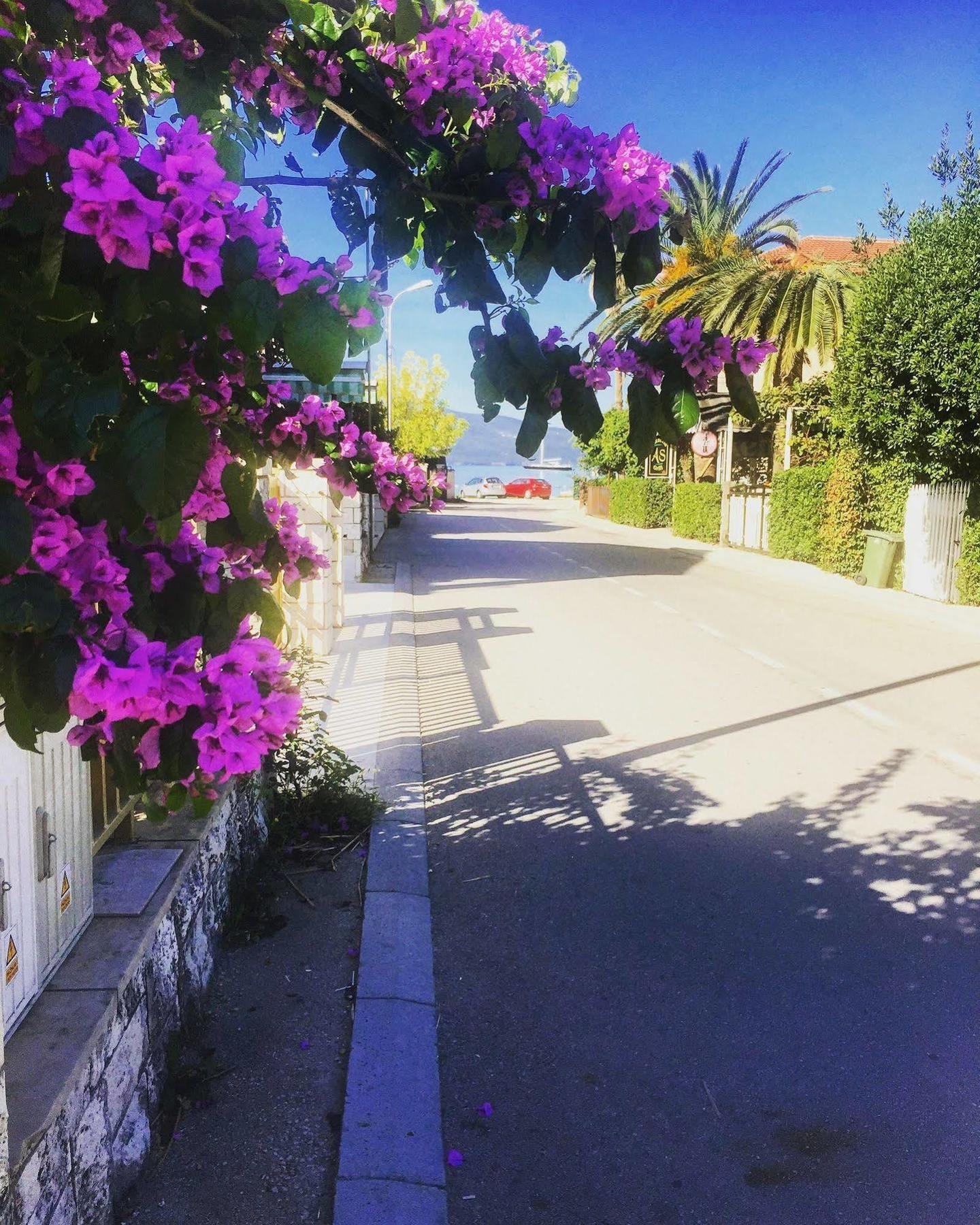 Hotel Splendido MB Tivat Buitenkant foto
